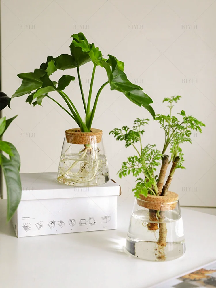 Decor & Accessories
