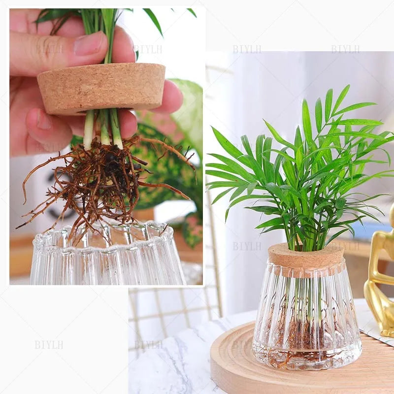 Hydroponic Plant Vase Set