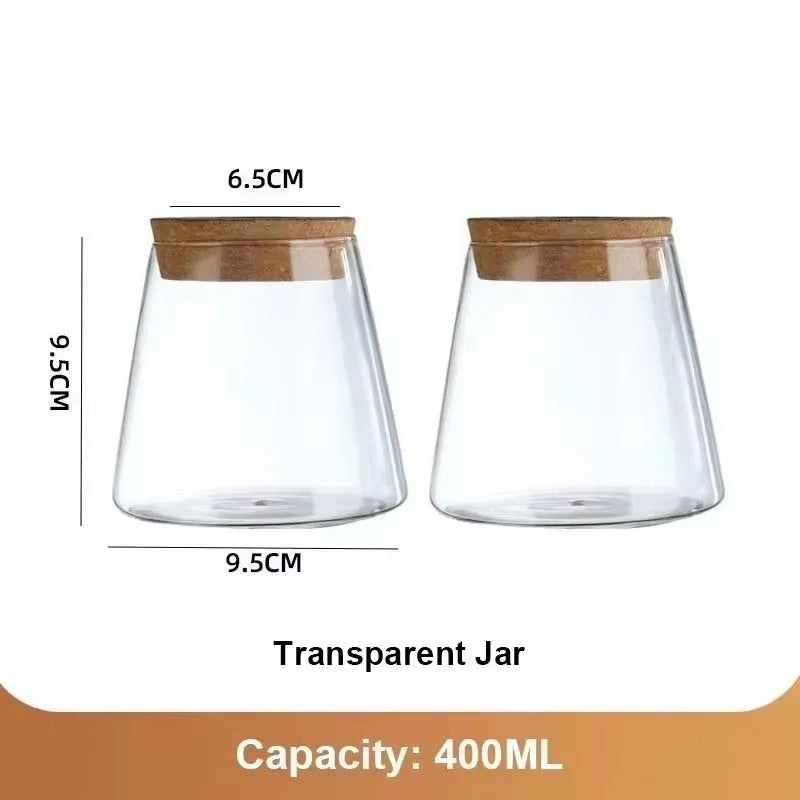 Hydroponic Plant Vase Set
