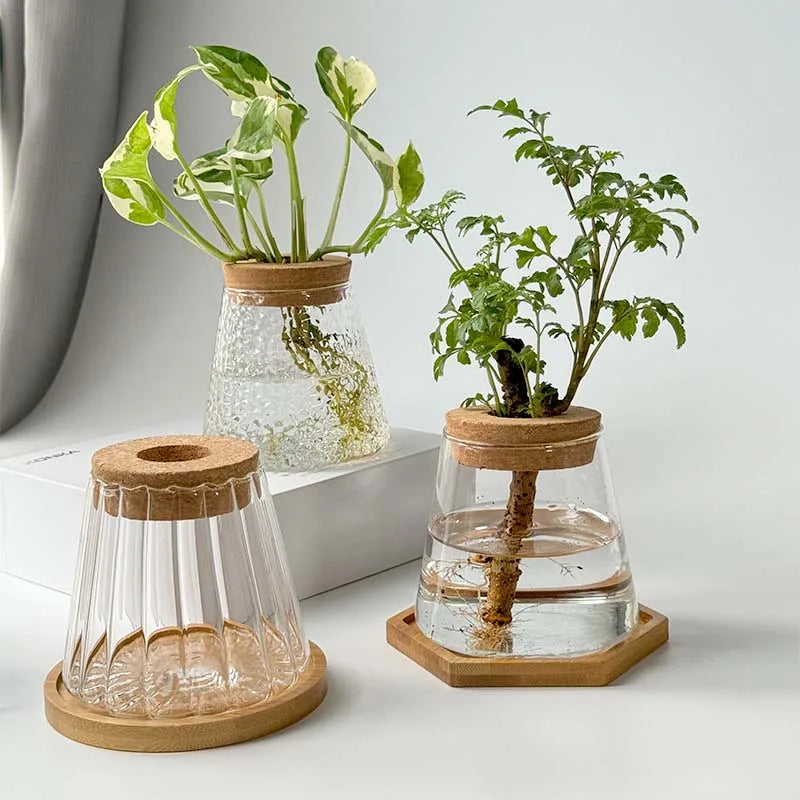 Hydroponic Plant Vase Set