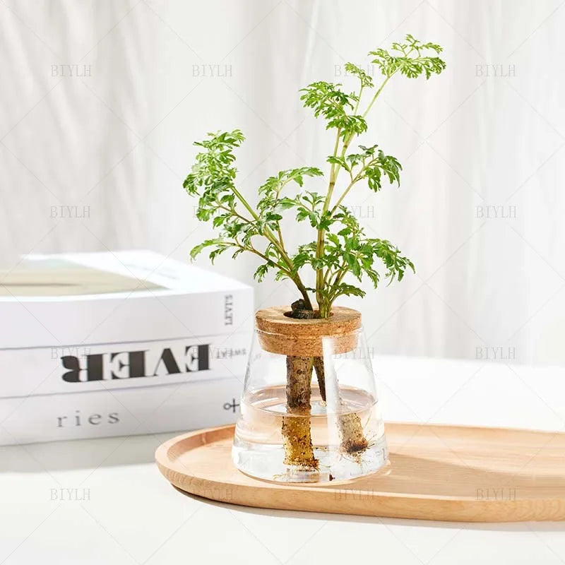 Hydroponic Plant Vase Set