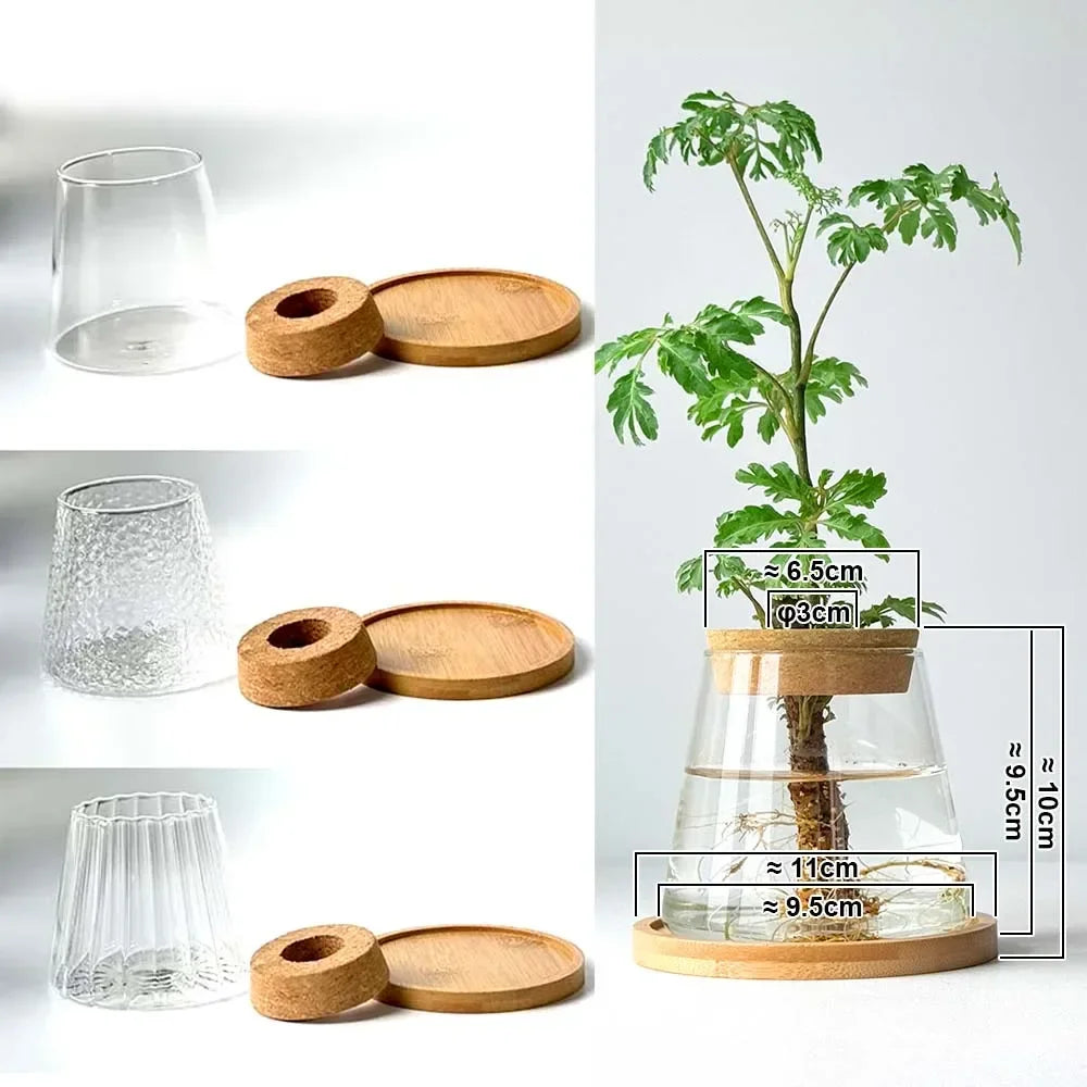 Hydroponic Plant Vase Set
