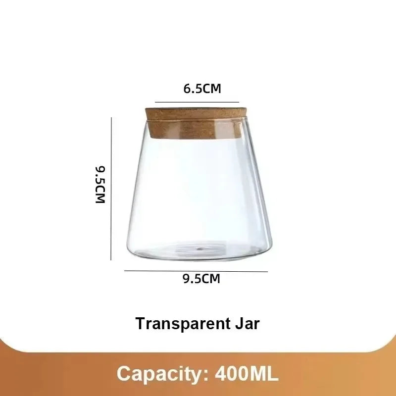 Hydroponic Plant Vase Set