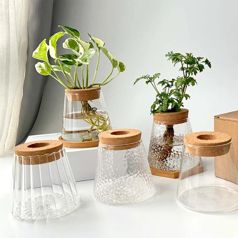 Hydroponic Plant Vase Set