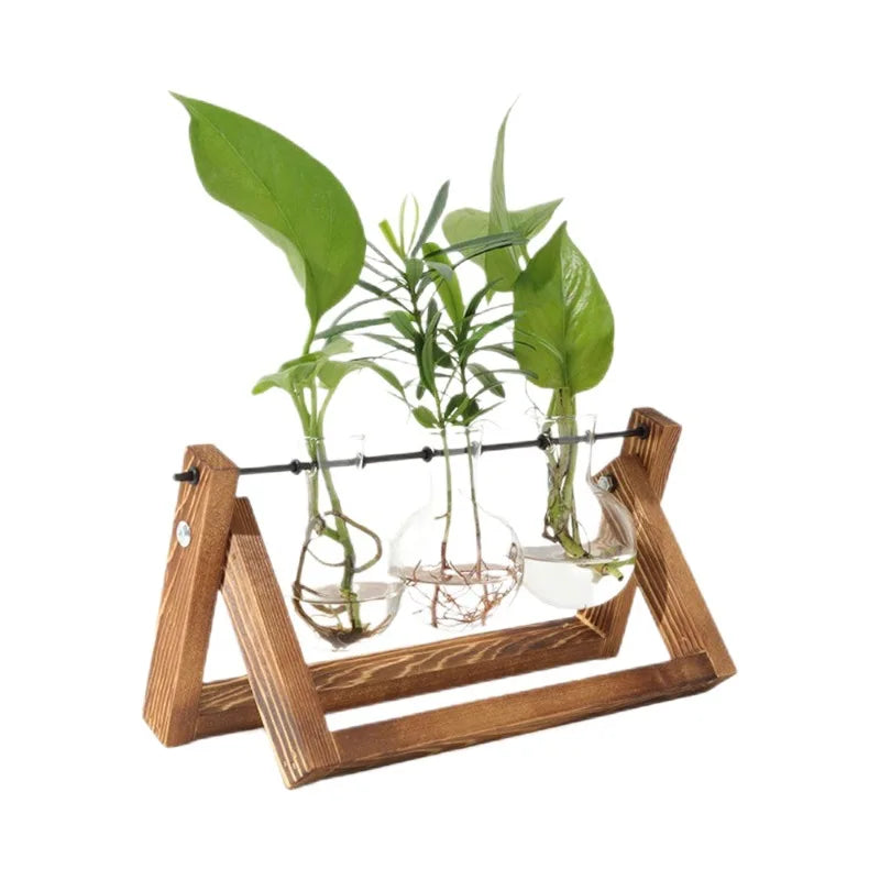 Wooden Hydroponic Vase Holder