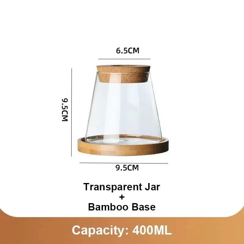 Hydroponic Plant Vase Set