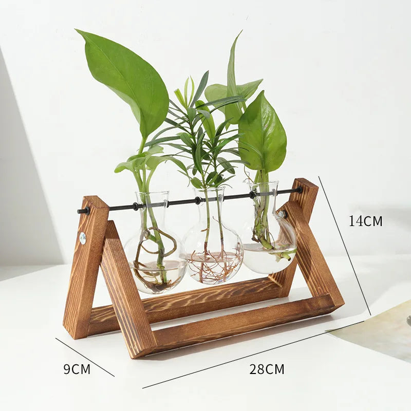 Wooden Hydroponic Vase Holder