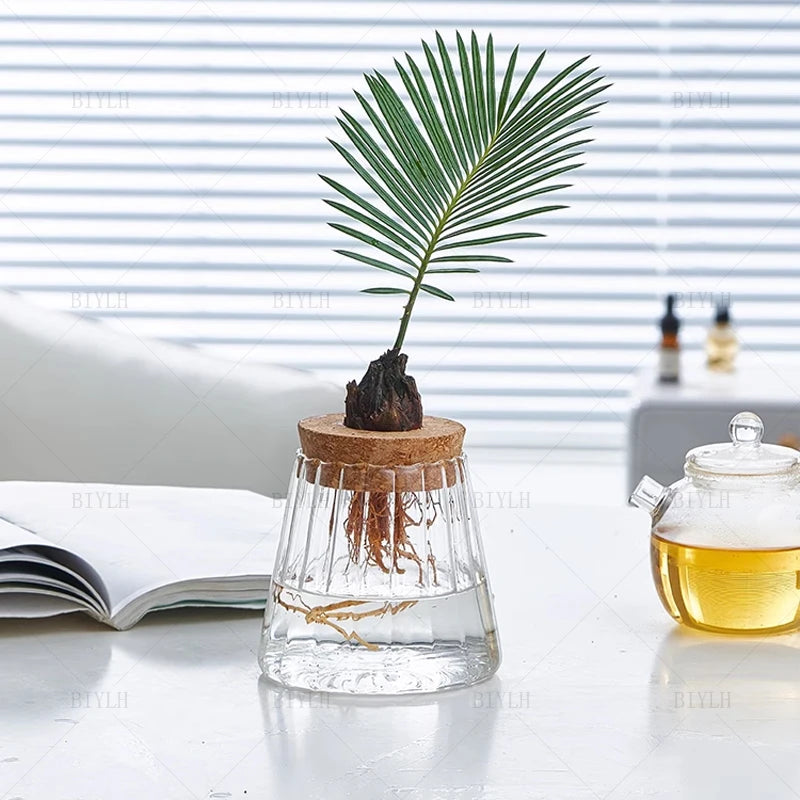 Hydroponic Plant Vase Set