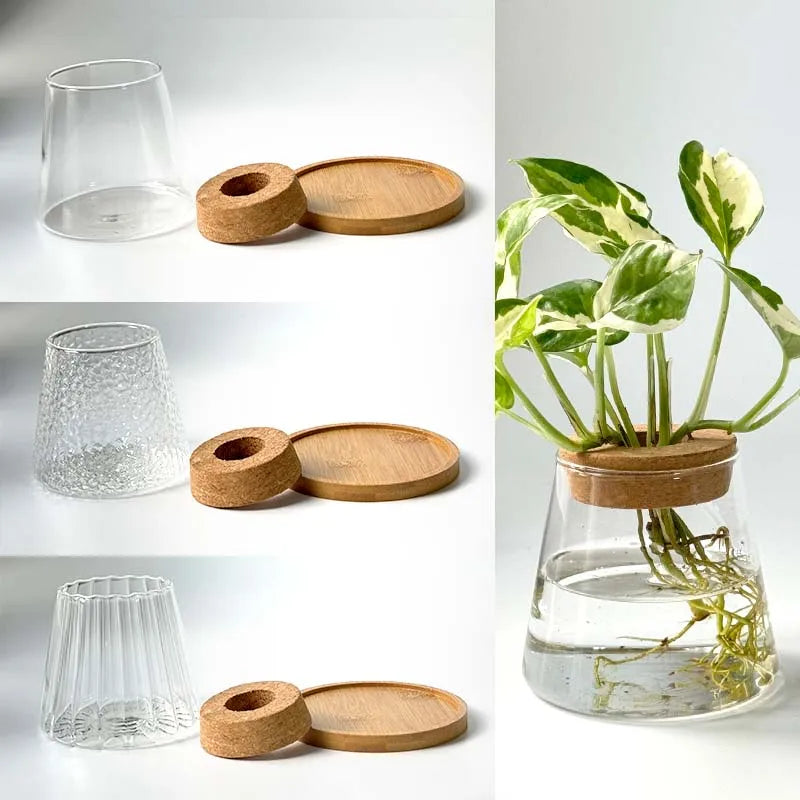 Hydroponic Plant Vase Set