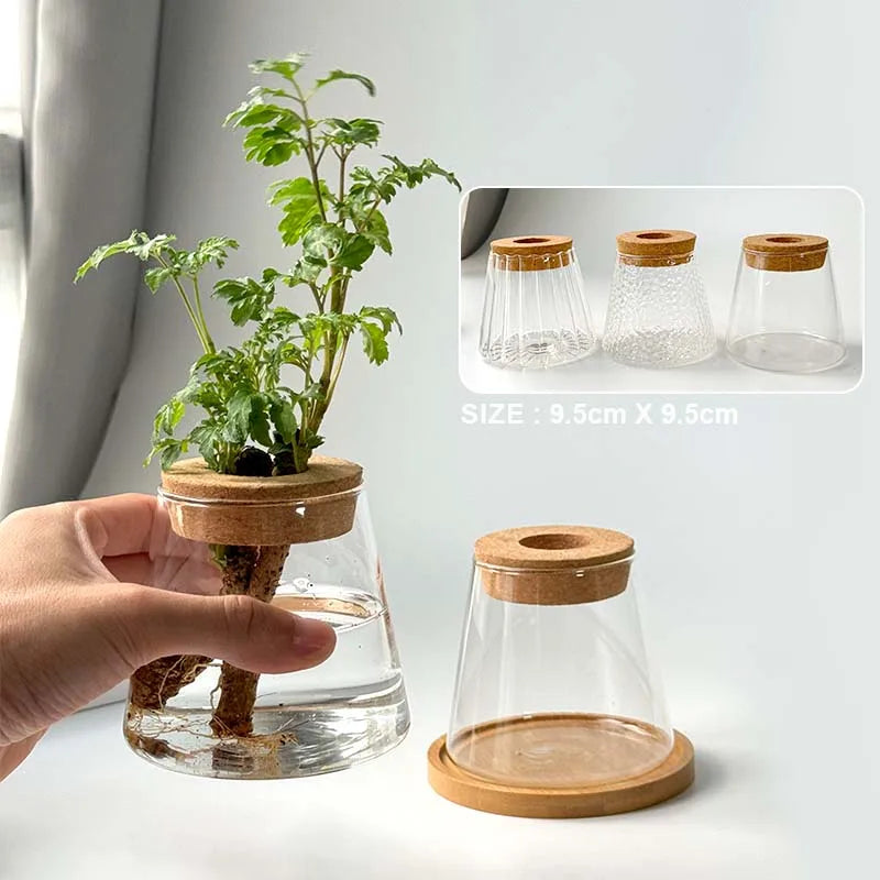 Hydroponic Plant Vase Set