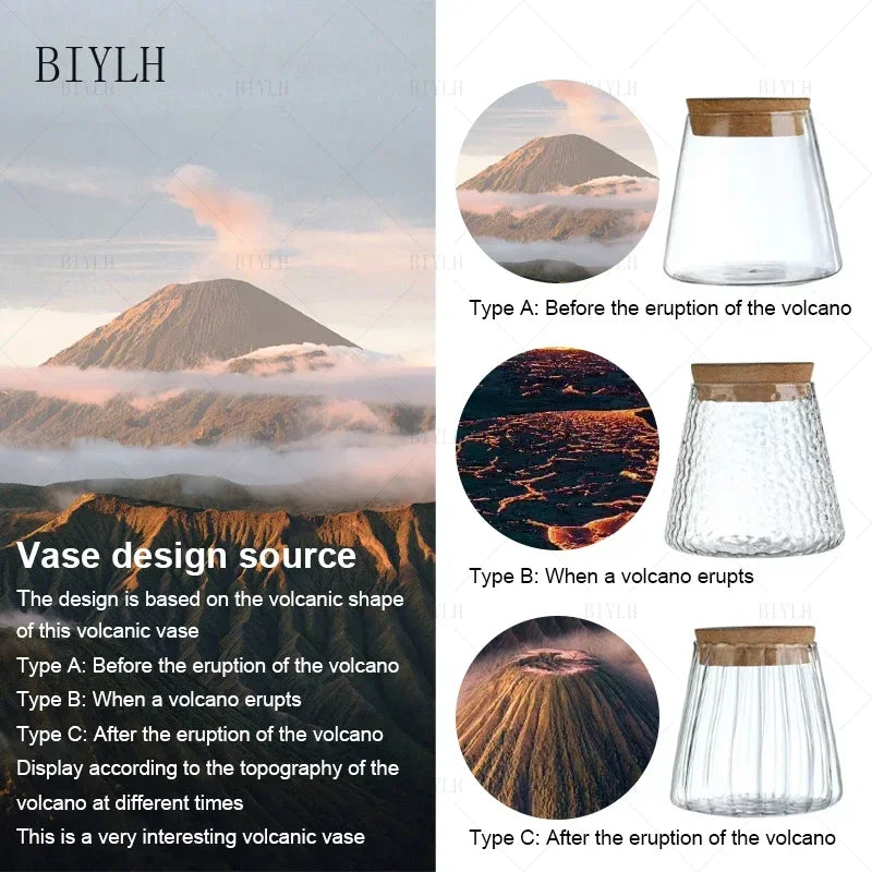 Hydroponic Plant Vase Set