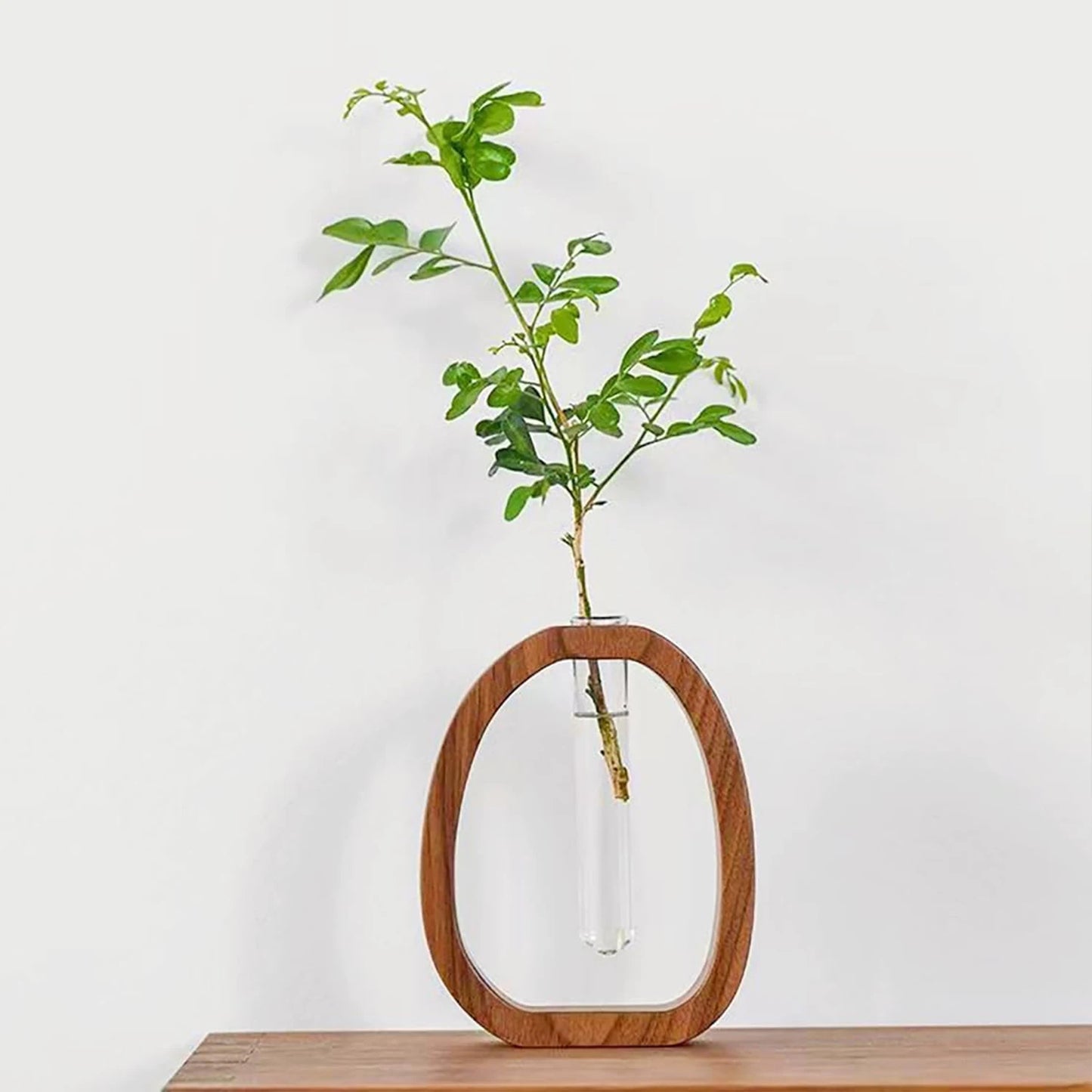 Wooden Rack Hydroponic Vase