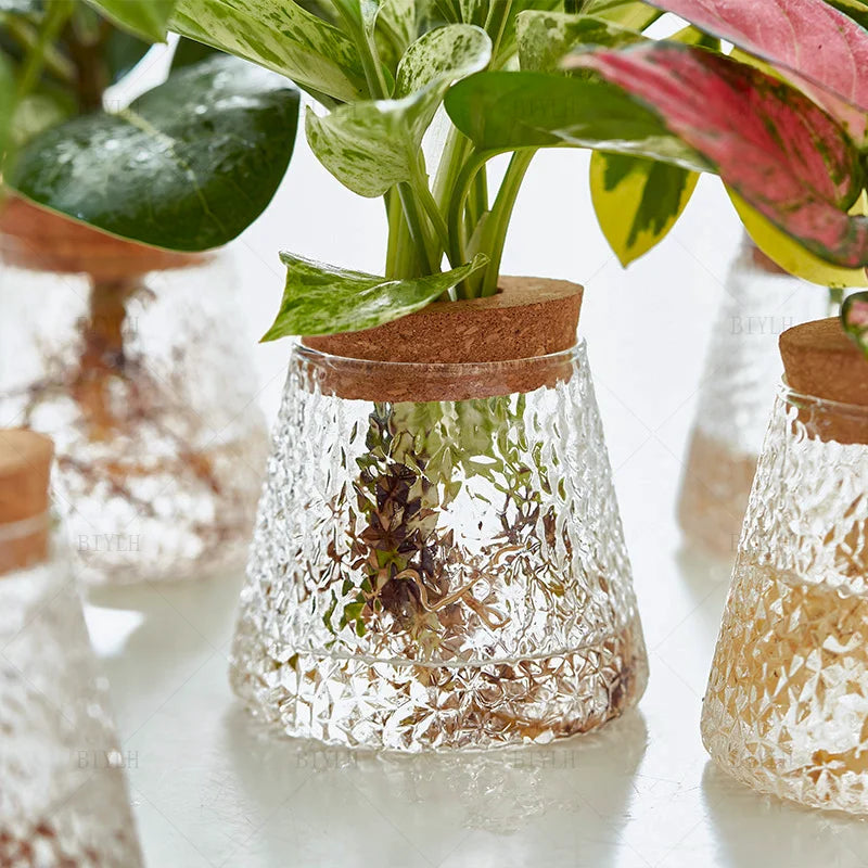 Hydroponic Plant Vase Set