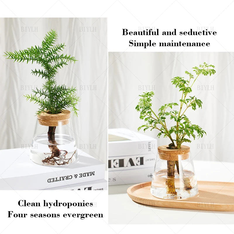 Hydroponic Plant Vase Set