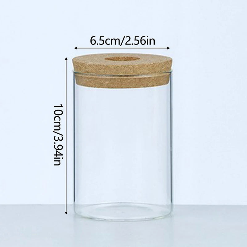 Mini Hydroponic Glass Vase
