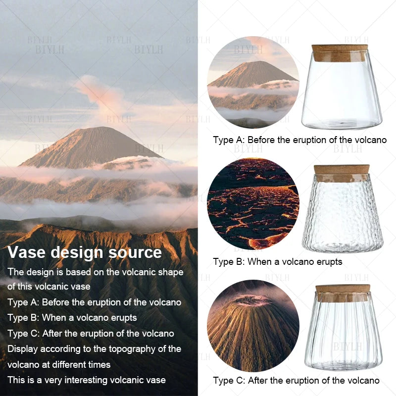 Hydroponic Plant Vase Set