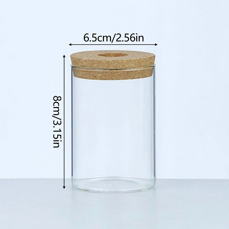 Mini Hydroponic Glass Vase