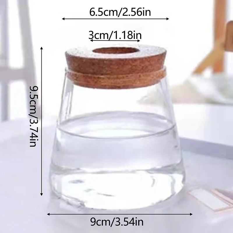 Mini Hydroponic Glass Vase