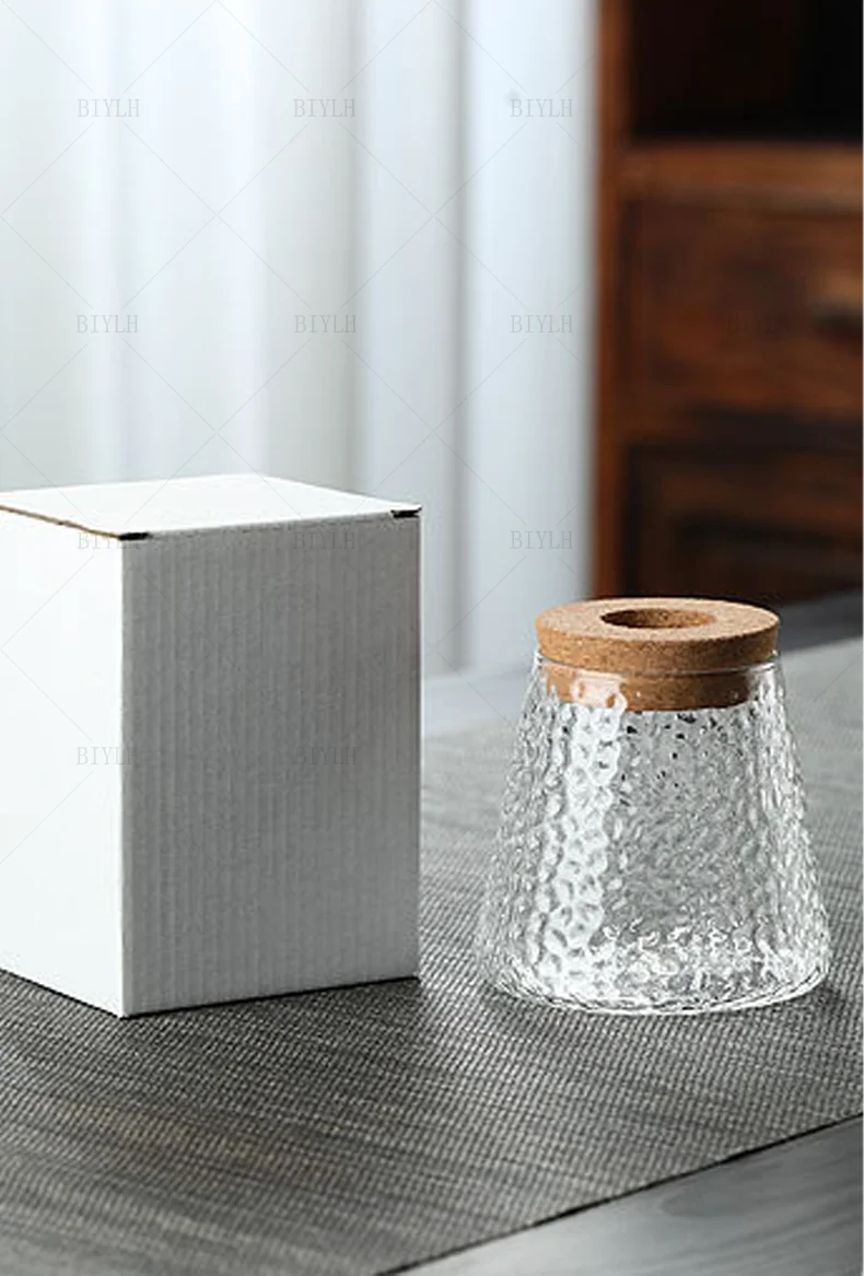 Hydroponic Plant Vase Set