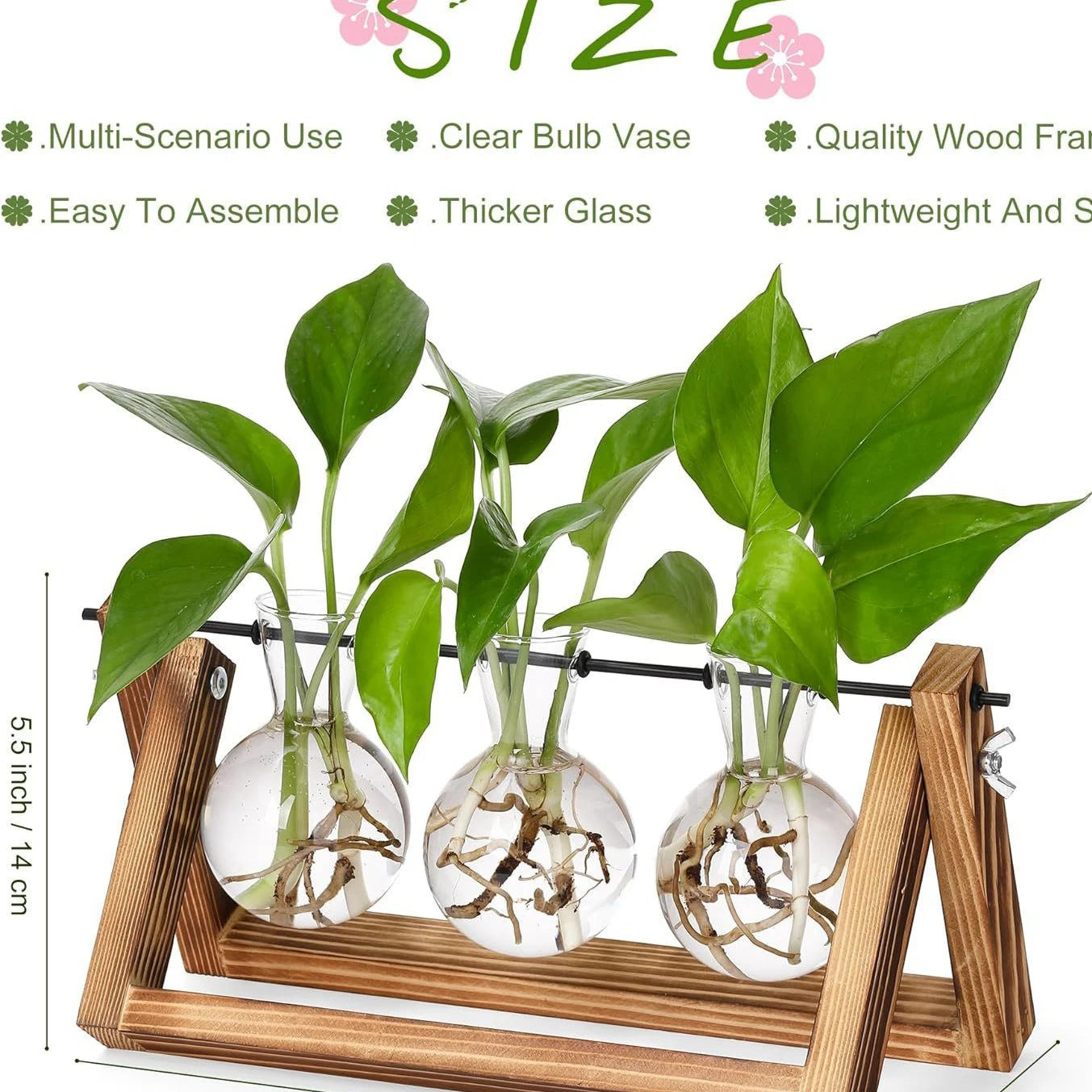 Wooden Hydroponic Vase Holder