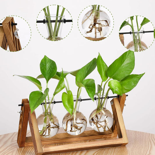 Wooden Hydroponic Vase Holder